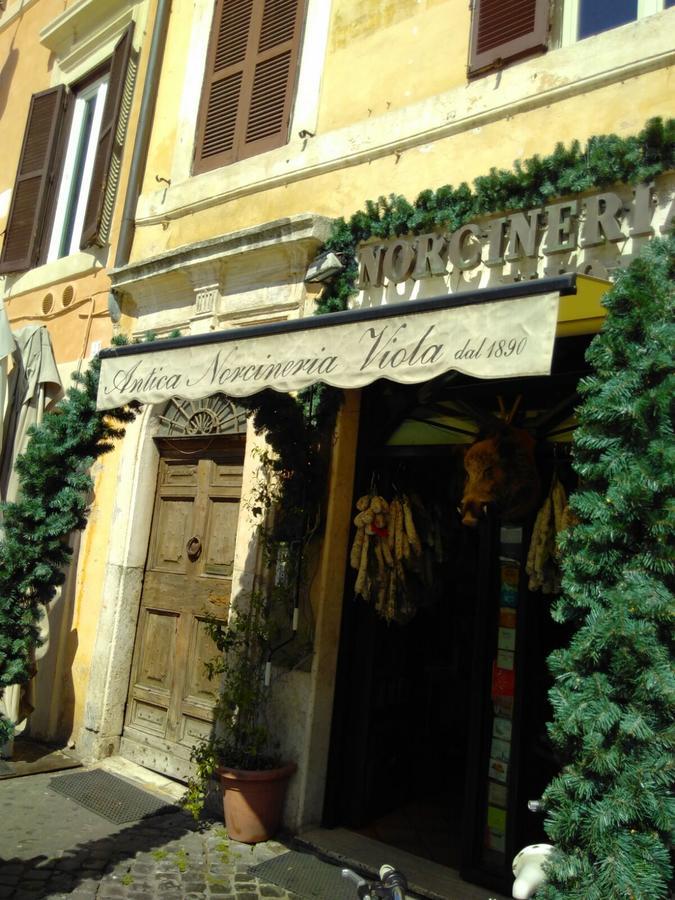 Campo Dei Fiori Funny Flat Appartamento